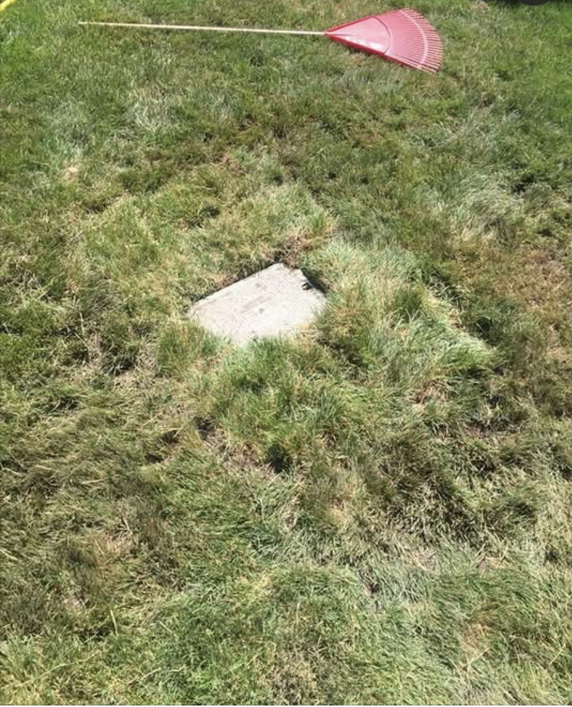 After: valve box reset flush with the restored lawn